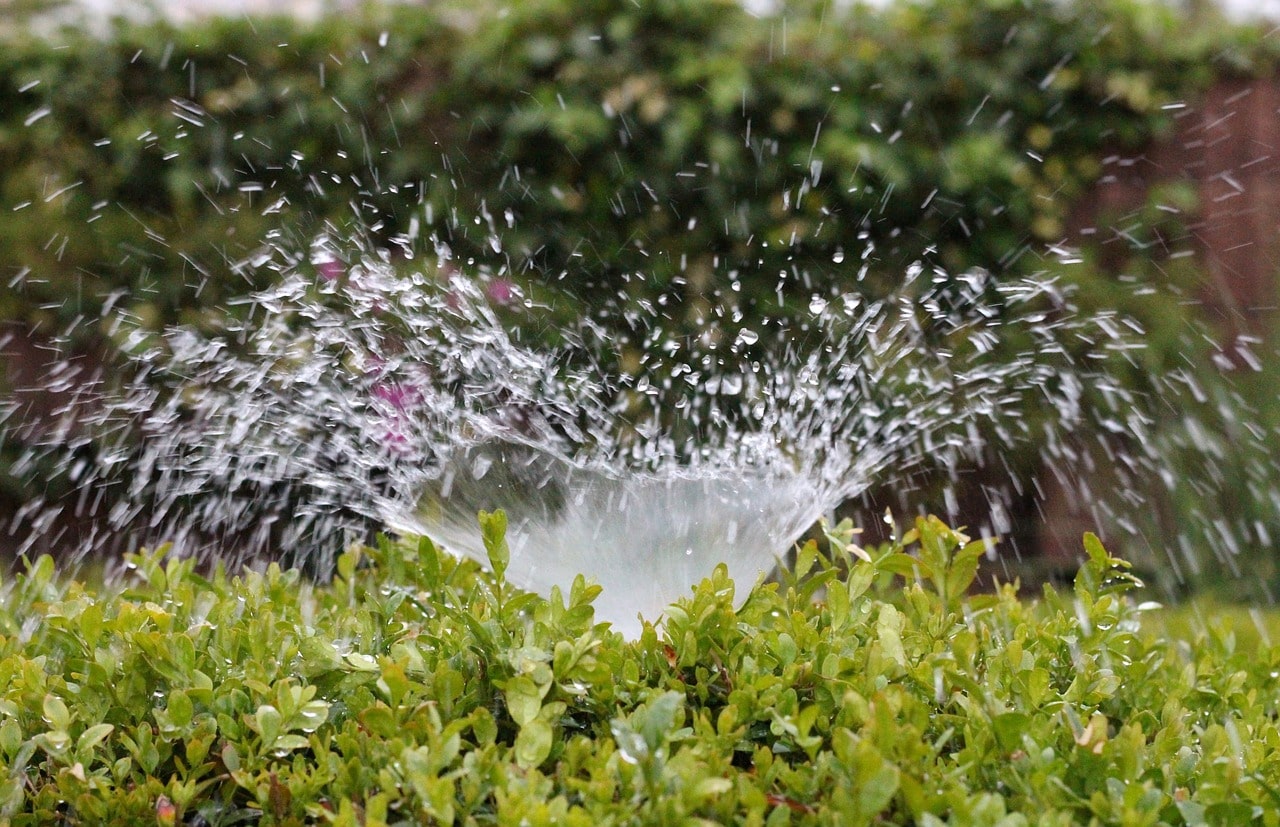 Smart Irrigation