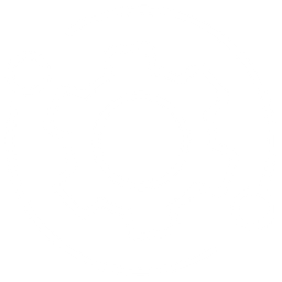 Our Project Impact